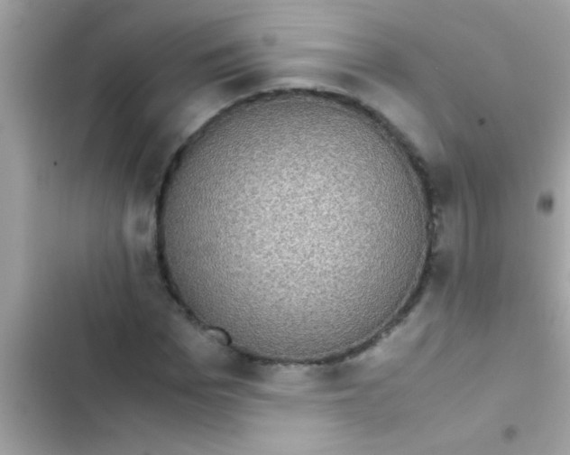 X0000103310969200809191914