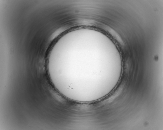 X0000103310970200809191914
