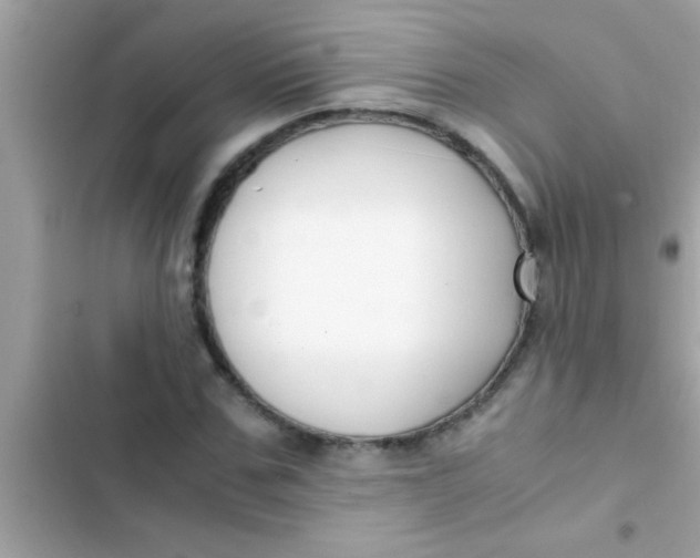 X0000103310971200809191914