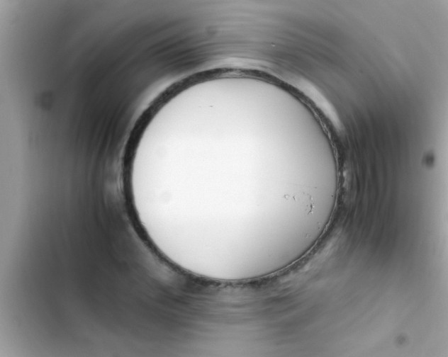 X0000103310972200809191914