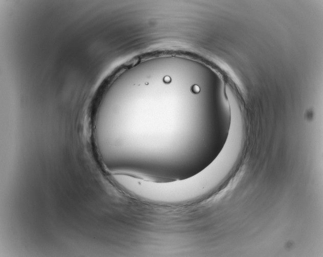 X0000103310973200809191914