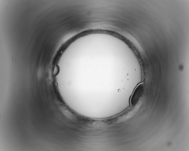 X0000103310974200809191914