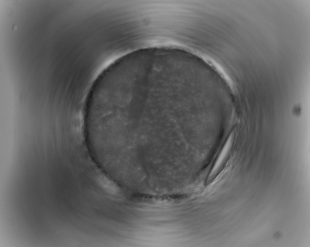 X0000103310975200809191914