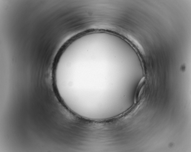 X0000103310976200809191914