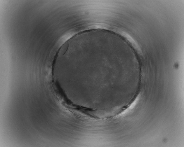 X0000103310977200809191914