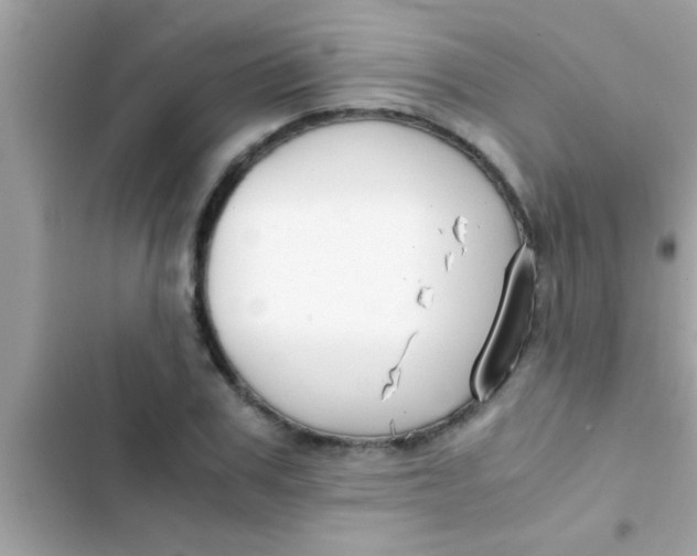 X0000103310979200809191914