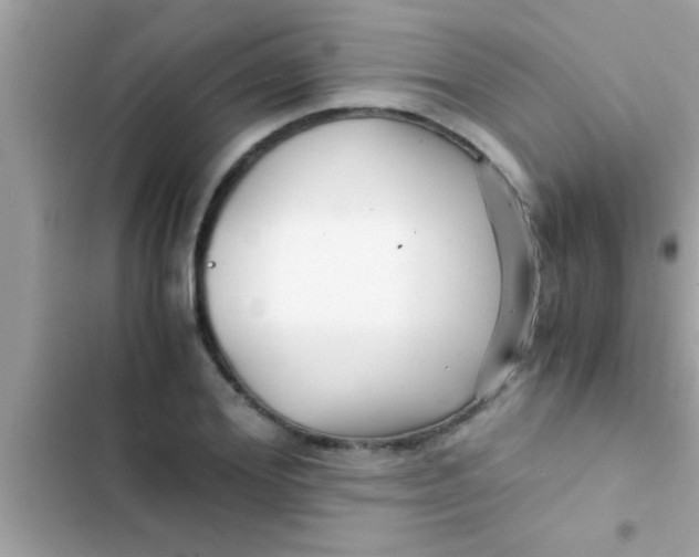 X0000103310980200809191914