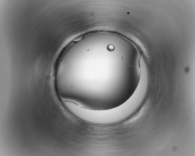 X0000103310981200809191914