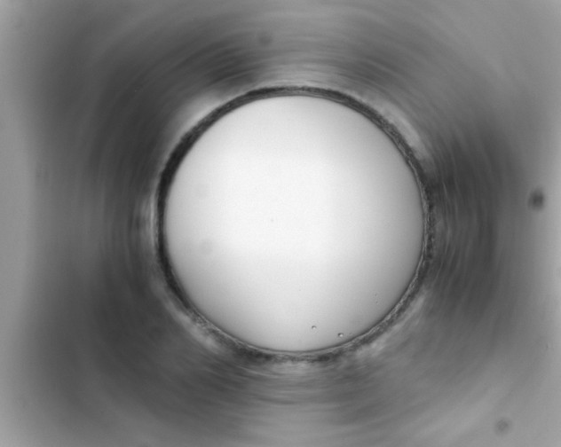 X0000103310982200809191914