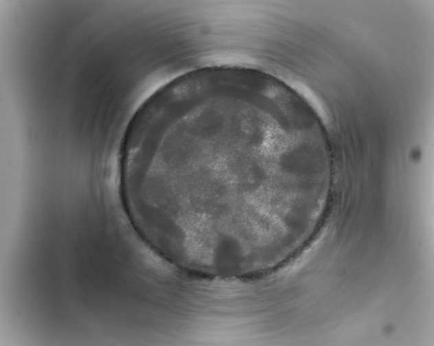 X0000103310983200809191914
