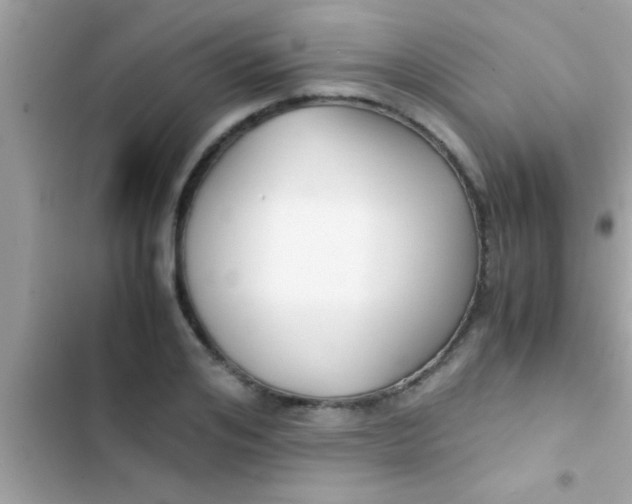 X0000103310984200809191914