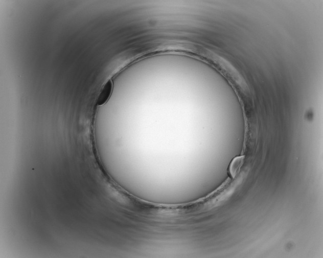 X0000103310985200809191914