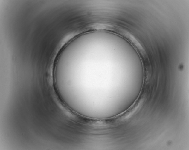 X0000103310986200809191914