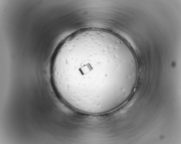 X0000103310987200809191914