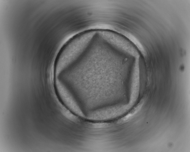X0000103310988200809191914