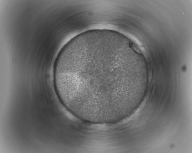 X0000103310990200809191914