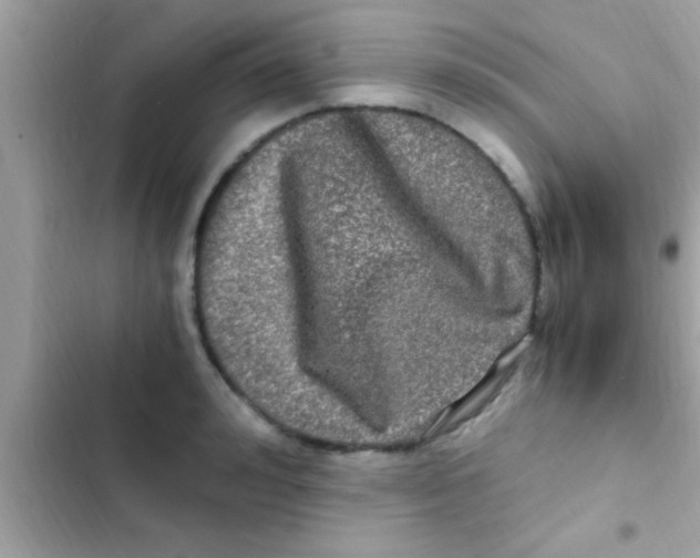 X0000103310992200809191914