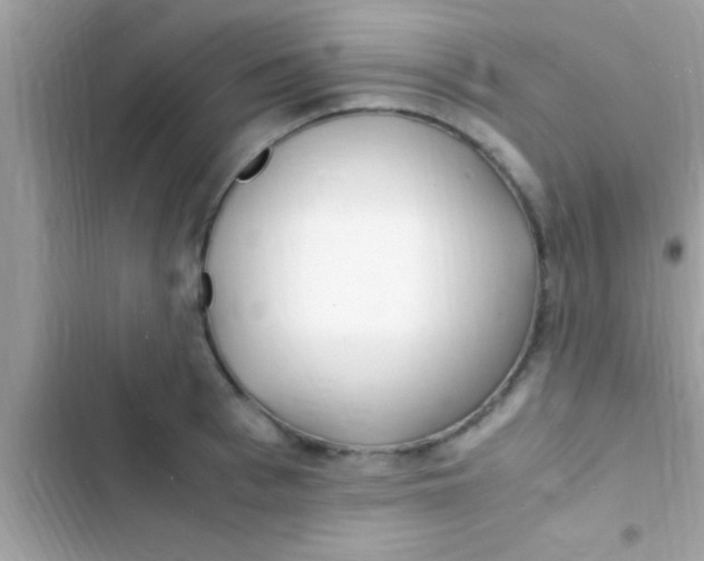 X0000103310993200809191914