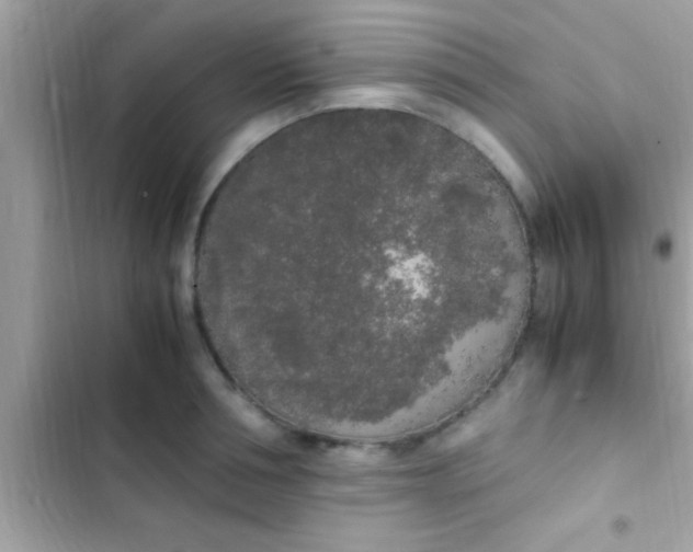 X0000103310994200809191914