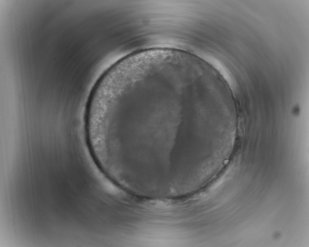 X0000103310995200809191914