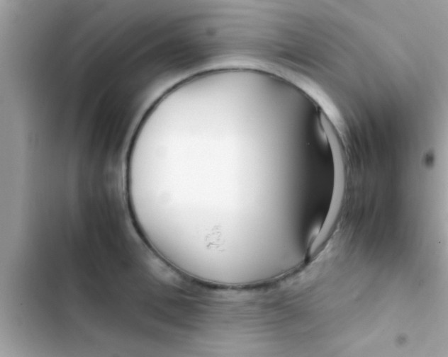 X0000103310996200809191914