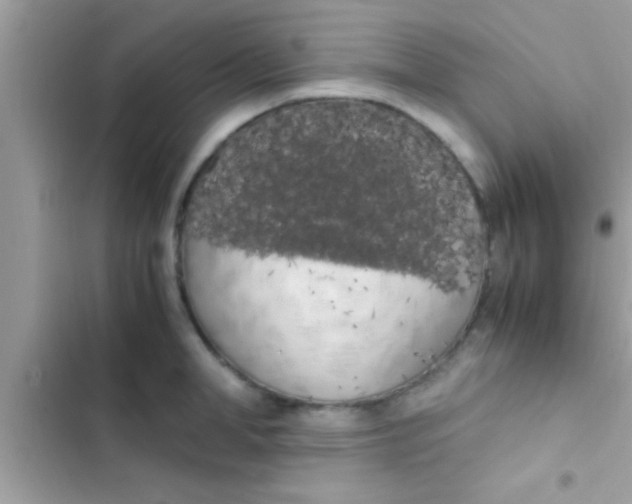 X0000103310998200809191914