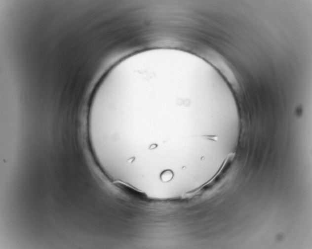 X0000103311000200809191914