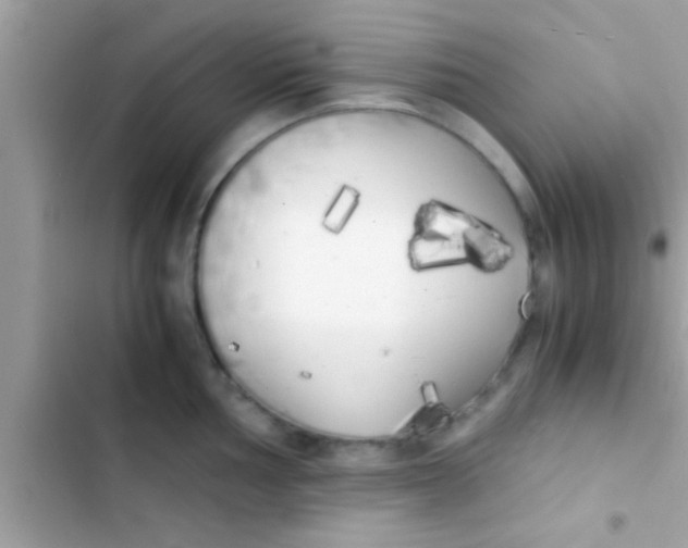 X0000103311002200809191913