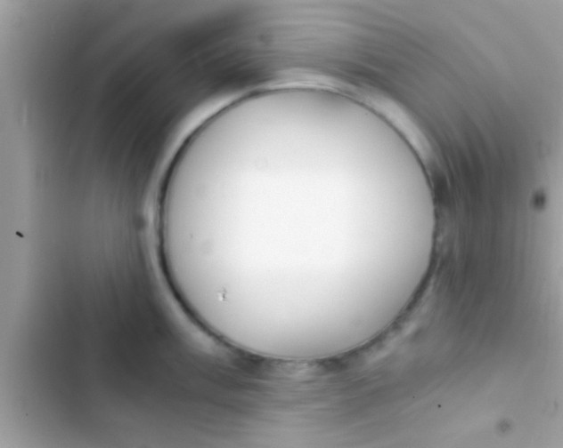 X0000103311003200809191913