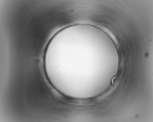 X0000103311005200809191913