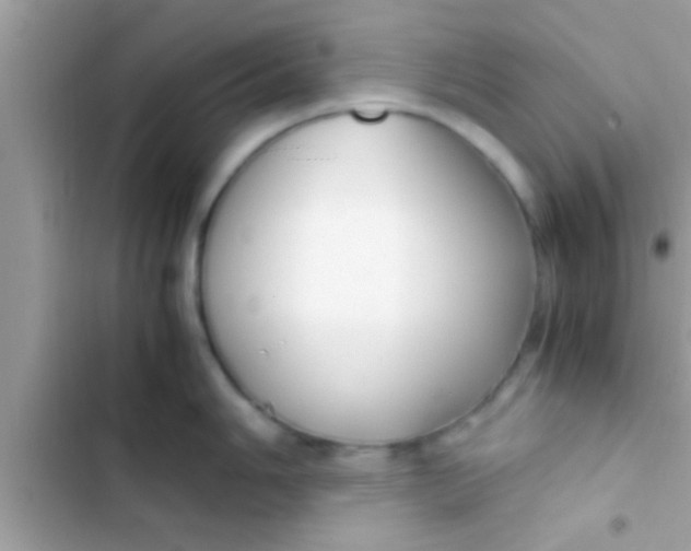 X0000103311006200809191913