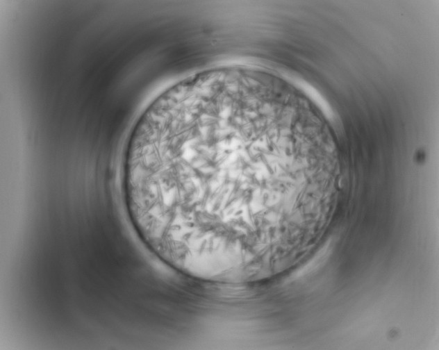 X0000103311007200809191913