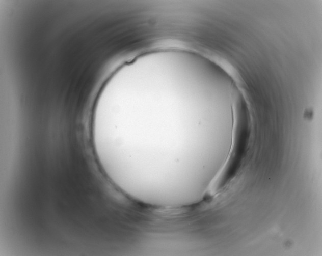 X0000103311008200809191913