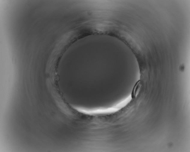 X0000103311009200809191913