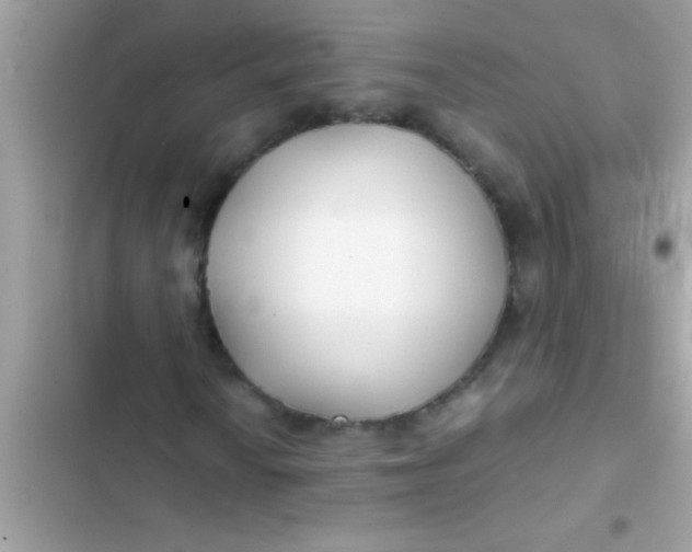 X0000103311010200809191913