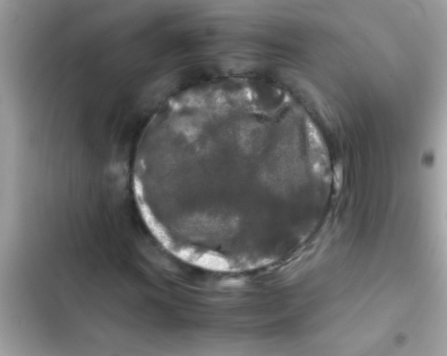 X0000103311011200809191913