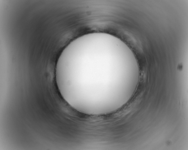 X0000103311012200809191913