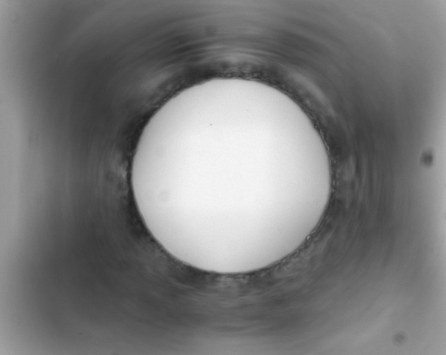 X0000103311013200809191913