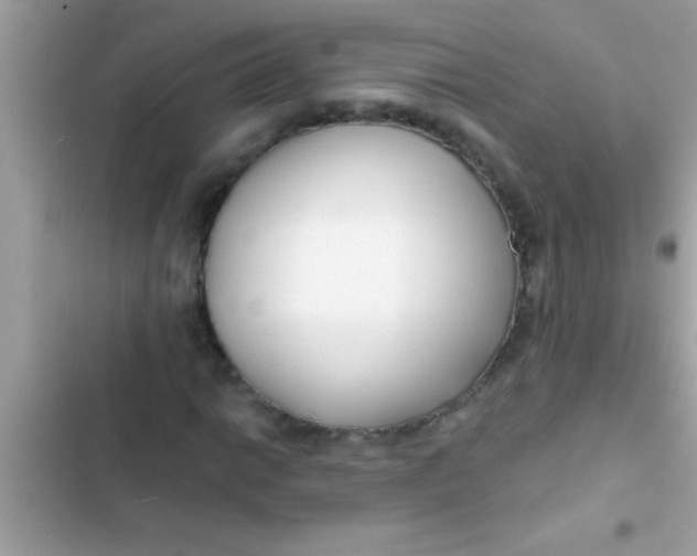 X0000103311014200809191913