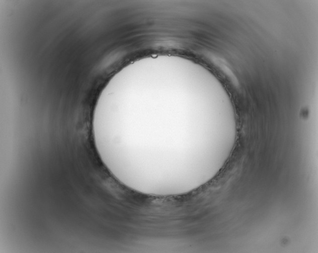 X0000103311015200809191913
