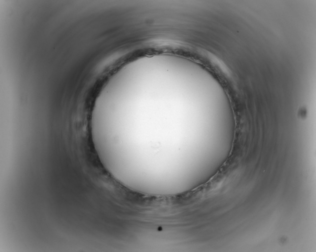 X0000103311016200809191913