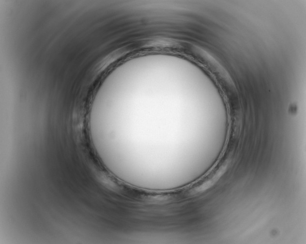 X0000103311017200809191913