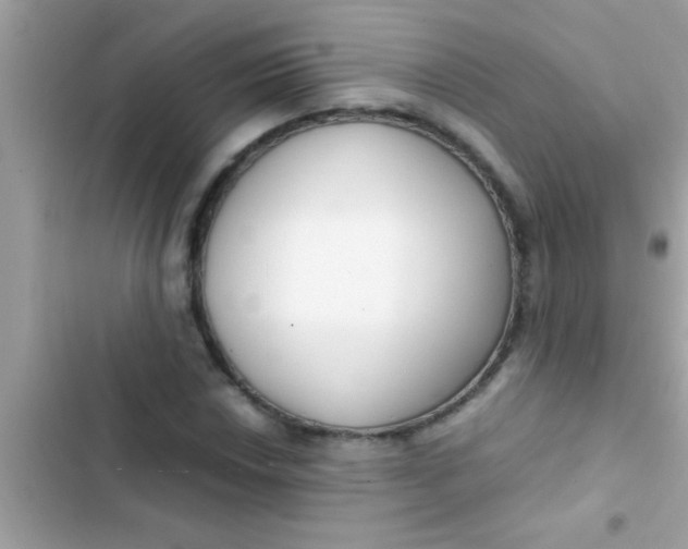 X0000103311018200809191913