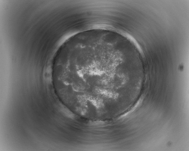 X0000103311019200809191913