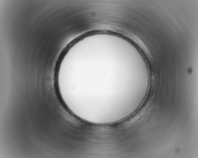 X0000103311020200809191913