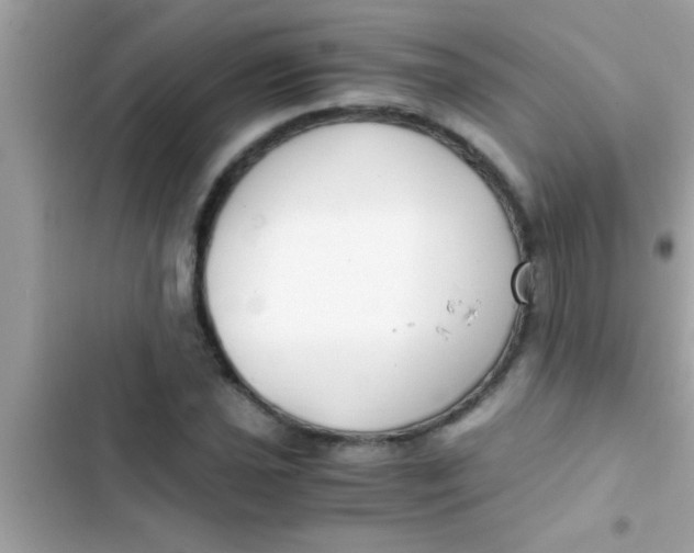 X0000103311021200809191913
