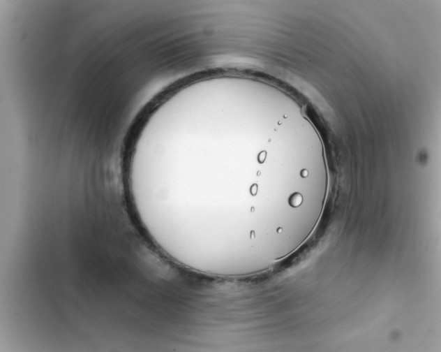 X0000103311022200809191913