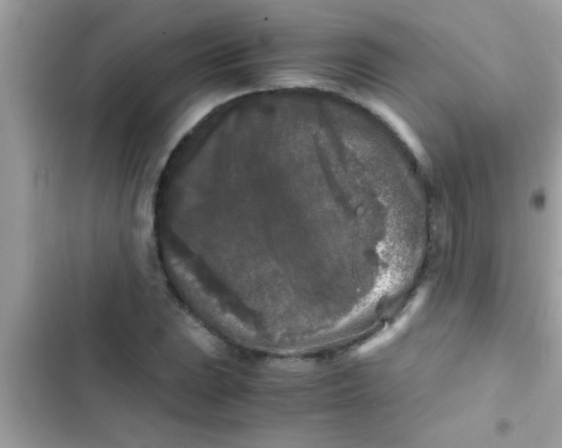 X0000103311023200809191913