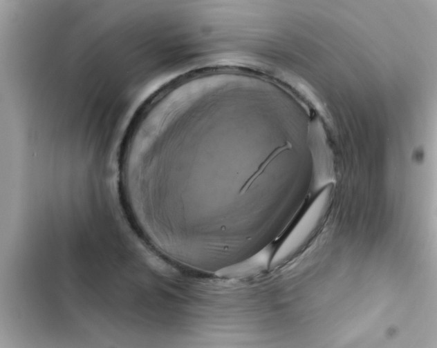X0000103311024200809191913
