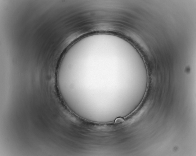 X0000103311025200809191913